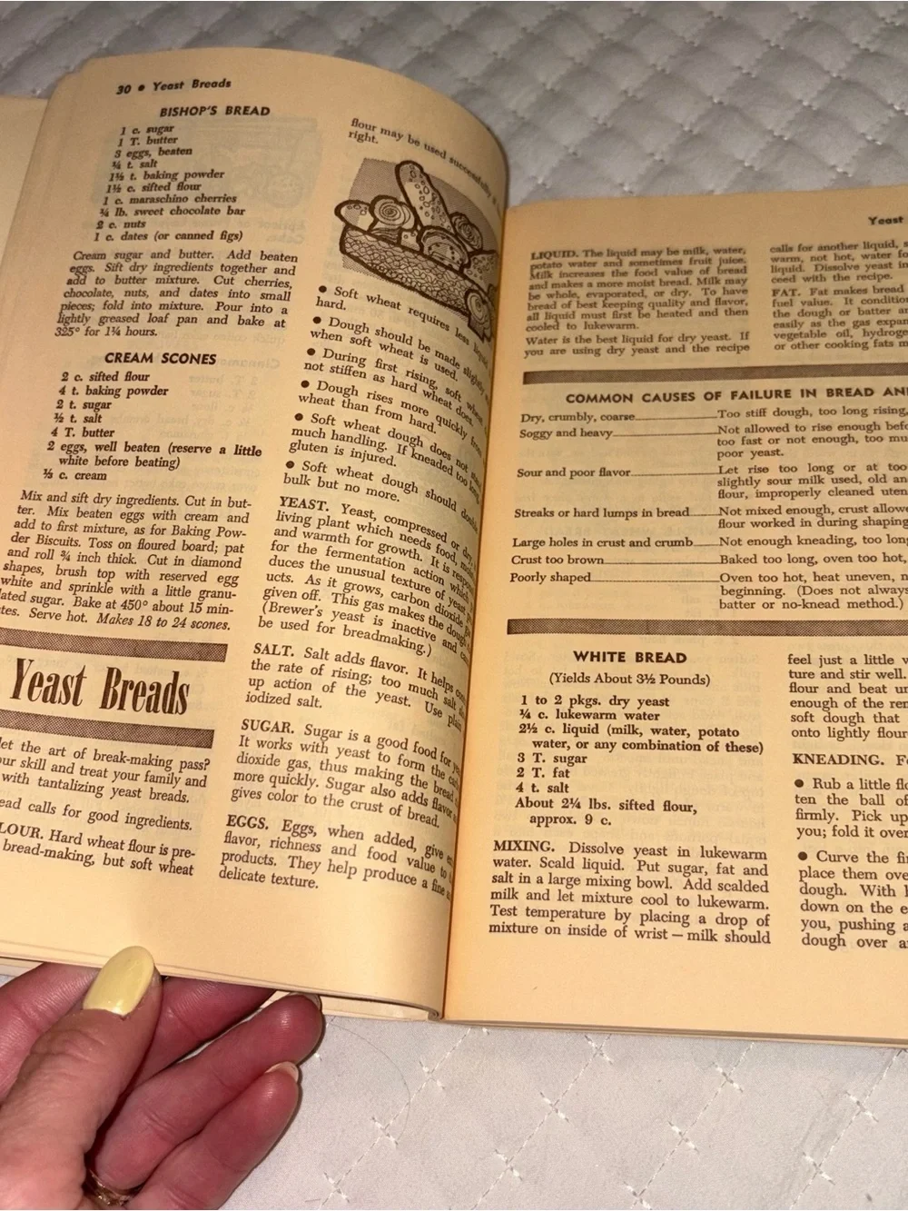 The Auburn Cookbook by Fariss Prickett - Retro Blue & Tan Cover